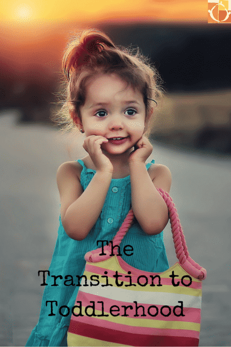 The Transition to Toddlerhood (1)