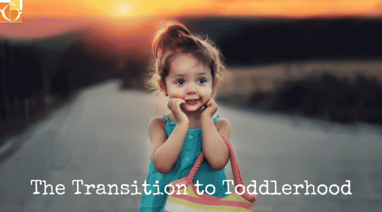 The Transition to Toddlerhood(1)