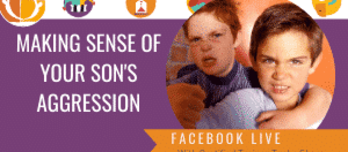 Making sense of your son's aggression