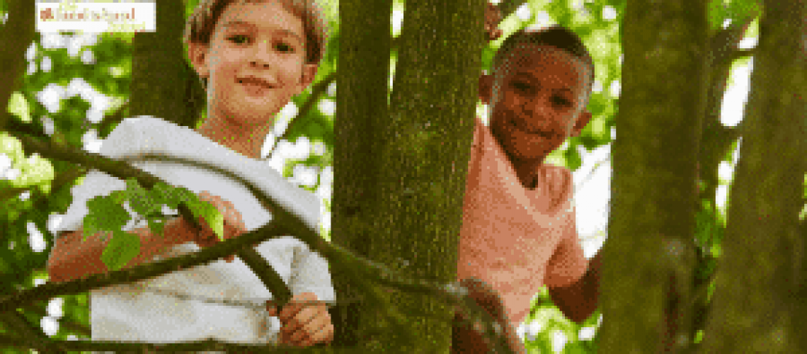 Kids climbing trees in risky play